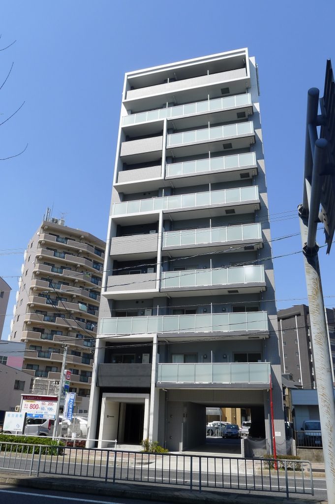 s_プライムローズ_P1160306