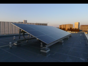 photo-38-300x225.png